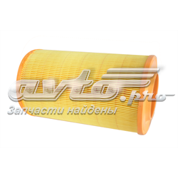 70286 Asam Filtro de ar