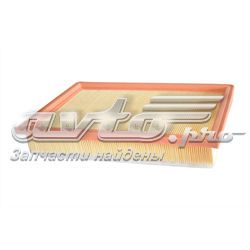 70302 Asam Filtro de ar