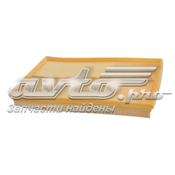 70310 Asam Filtro de ar