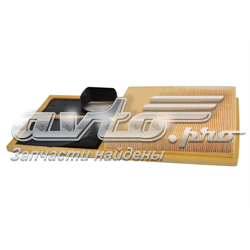 70319 Asam Filtro de ar