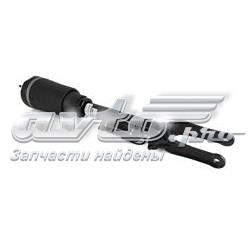 Amortecedor dianteiro MJAS003 Japko