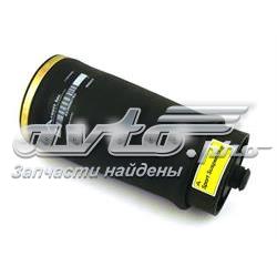  Arnott A2503