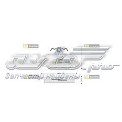  Ford Sierra  (BNC)