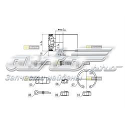 LO00575 Starline