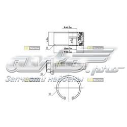 LO01356 Starline Rolamento de cubo dianteiro/traseiro
