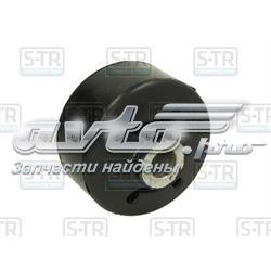 STR120910 STR