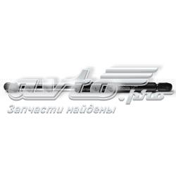 Compre Amortecedor de tampa de porta-malas (de 3ª/5ª porta traseira) Daewoo Nubira 1