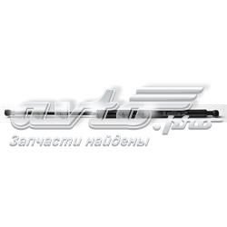 Amortecedor de tampa de porta-malas (de 3ª/5ª porta traseira) 74820ST3E01 Honda