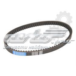 7190 Dayco Correia de variador