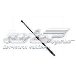 Amortecedor da capota GS0686 Magneti Marelli