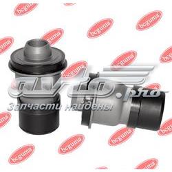 BC1109 Bcguma