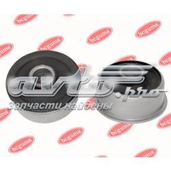 BC0243 Bcguma
