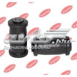 BC0603 Bcguma