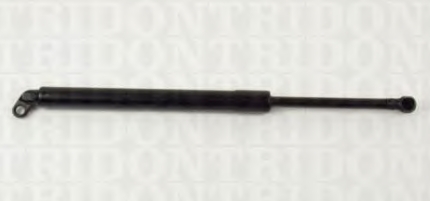 AEBM101 NTY Amortecedor de tampa de porta-malas (de 3ª/5ª porta traseira)