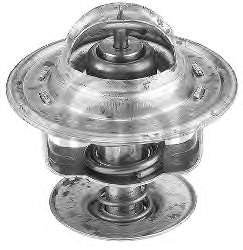 6169774 Ford Termostato