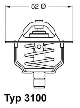 6994257 Ford Termostato