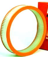 25040929 General Motors Filtro de ar