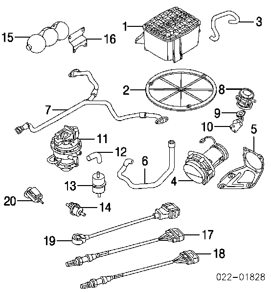 00001618Z6 Peugeot/Citroen Sonda lambda, sensor esquerdo de oxigênio até o catalisador