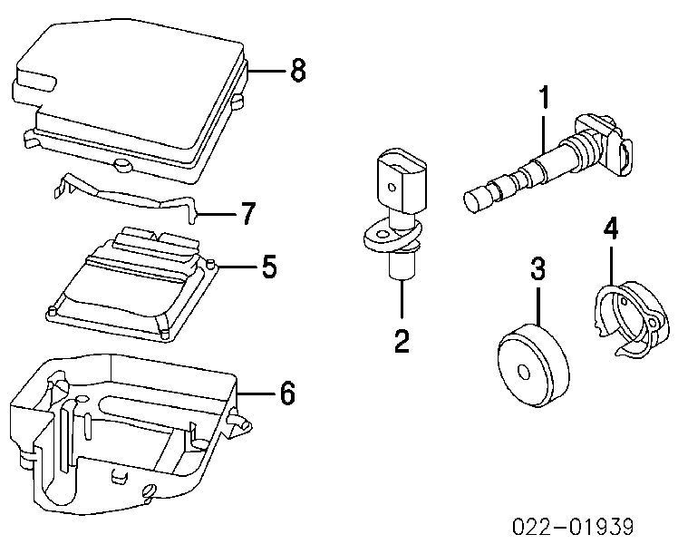 06C905234C VAG 