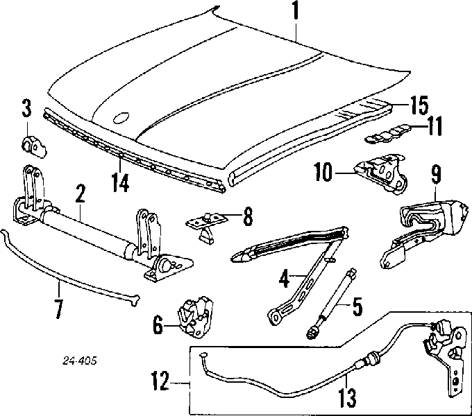 41618138748 BMW Capota