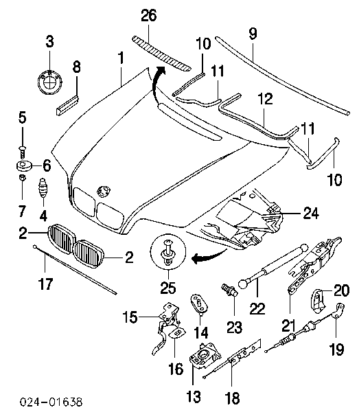 41618238461 BMW Capota