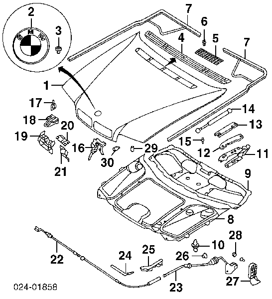 51138174852 BMW 