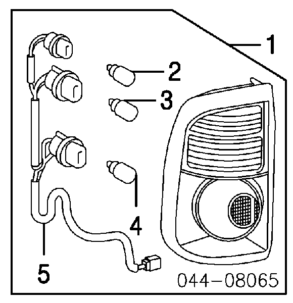 Compre 997006210Y Mazda Lâmpada