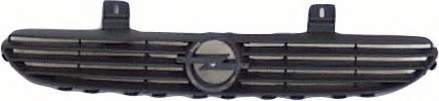 3776510 VAN Wezel Grelha do radiador