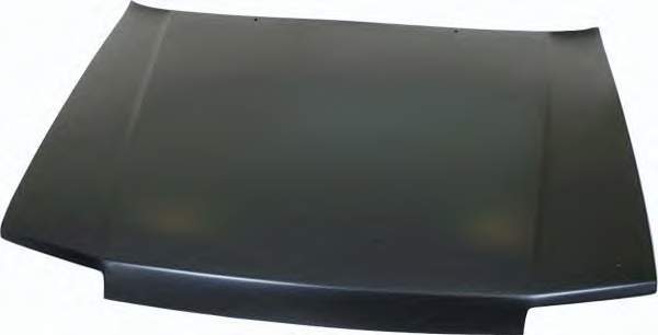 7751464493 Renault (RVI) Capota