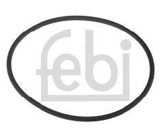 02943 Febi Bucim da árvore intermédia