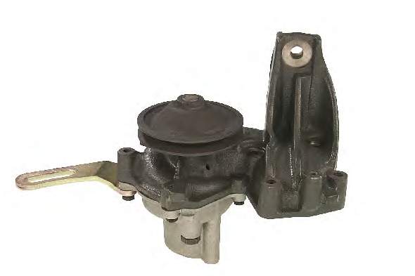 S144ST Dolz 