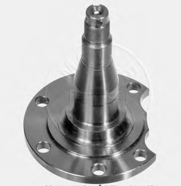 1005010031 Meyle Pino moente (extremidade do eixo) traseiro