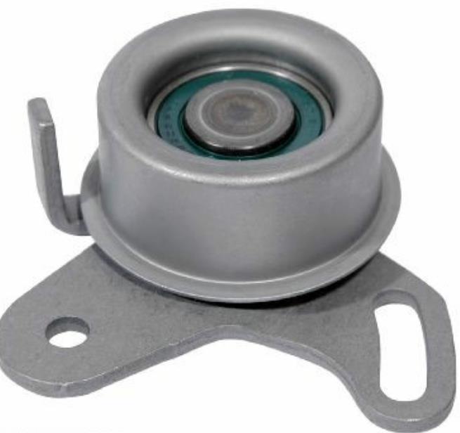 2441022020 Hyundai/Kia Rolo de reguladora de tensão da correia do mecanismo de distribuição de gás
