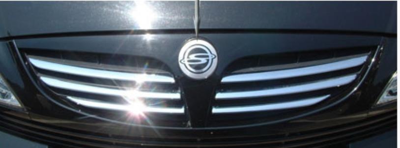 7945109000 Ssang Yong Grelha do radiador