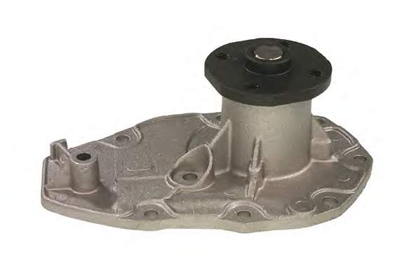 240081 Metelli
