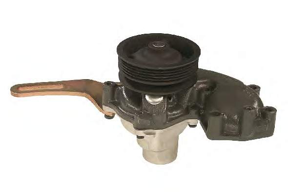 240365 Metelli