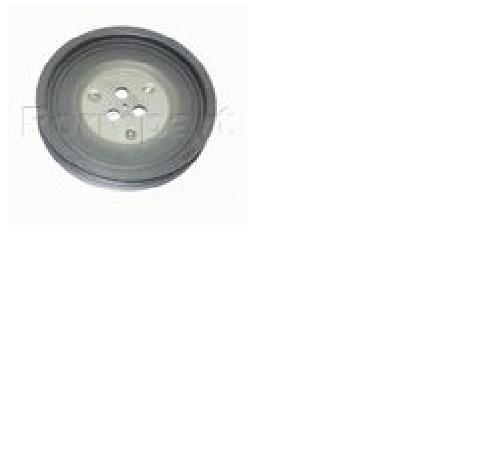 1329202 Ford Polia de cambota