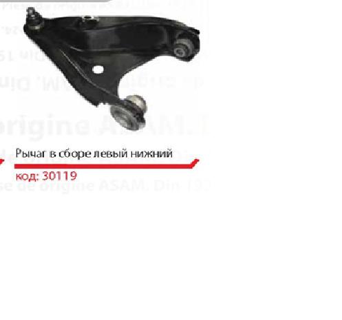 8660005365 Renault (RVI) Braço oscilante inferior esquerdo de suspensão dianteira