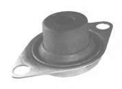 Coxim (suporte) traseiro de motor 02908 Metalcaucho
