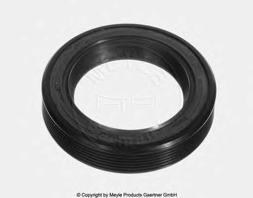 P7608701 Glaser Vedação dianteira da árvore distribuidora de motor