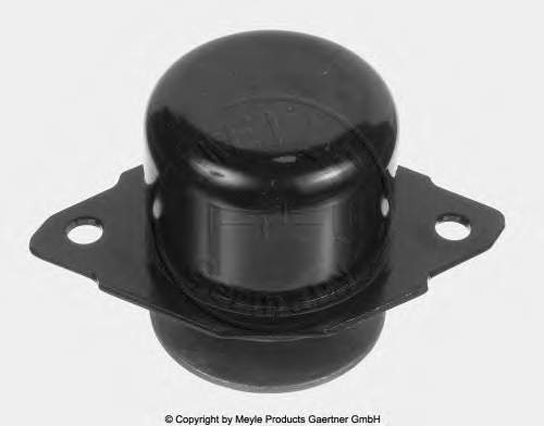 460904 Cautex Coxim (suporte) esquerdo de motor