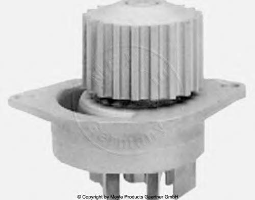 1201000000 Peugeot/Citroen Bomba de água (bomba) de esfriamento