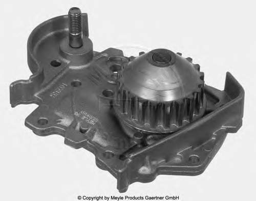 8671017773 Renault (RVI) Bomba de água (bomba) de esfriamento