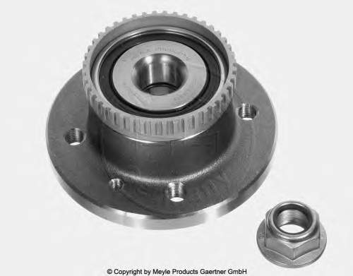 8660001821 Renault (RVI) Cubo traseiro