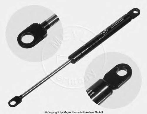 Compre 51231906286 BMW Amortecedor da capota