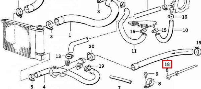 64211393364 BMW Mangueira (cano derivado) inferior do radiador de esfriamento