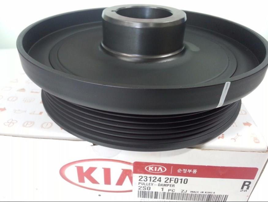 231242F010 Hyundai/Kia Polia de cambota