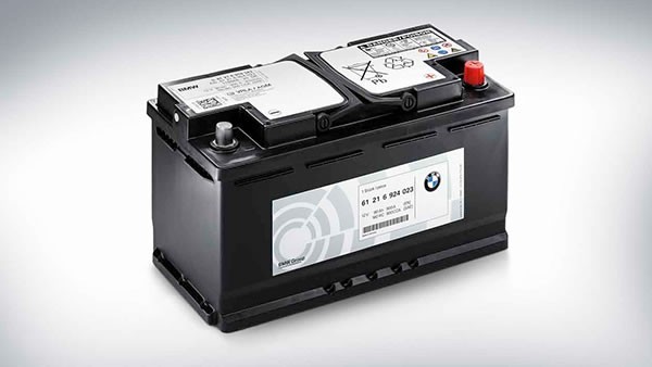 61216924023 BMW Bateria recarregável (PILHA)
