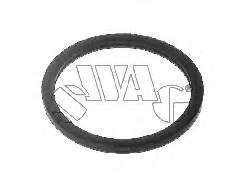 60160001 Swag Vedante de termostato