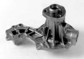 A151 Dolz